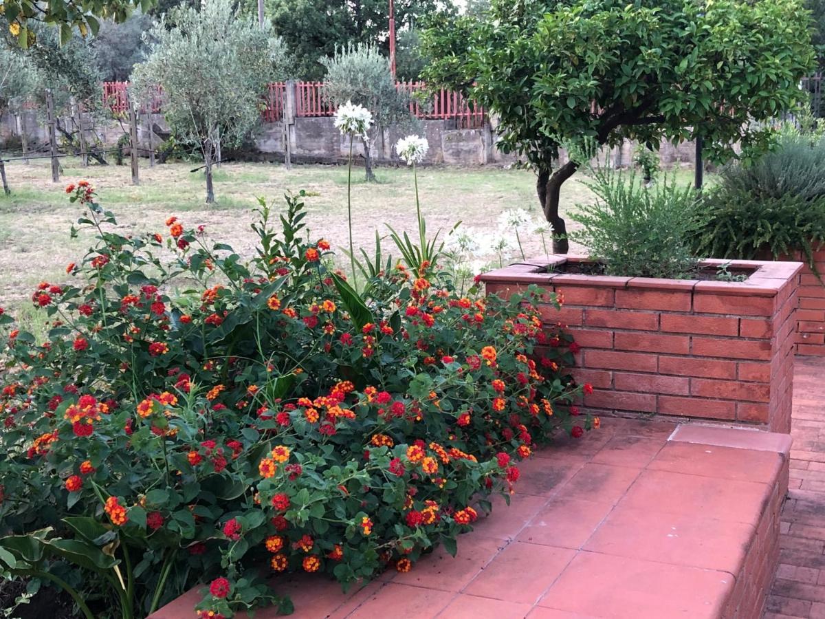 Villa Carolea Acireale Extérieur photo