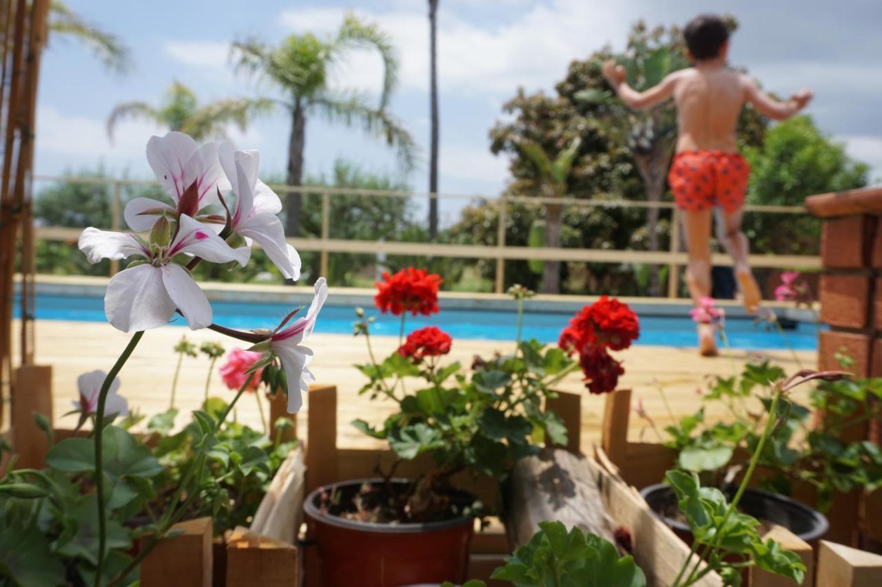 Villa Carolea Acireale Extérieur photo