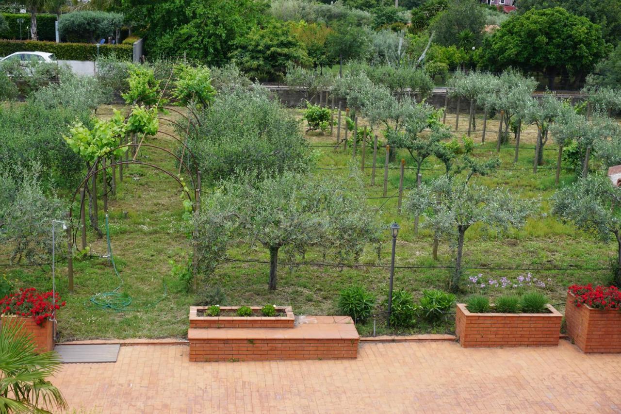 Villa Carolea Acireale Extérieur photo